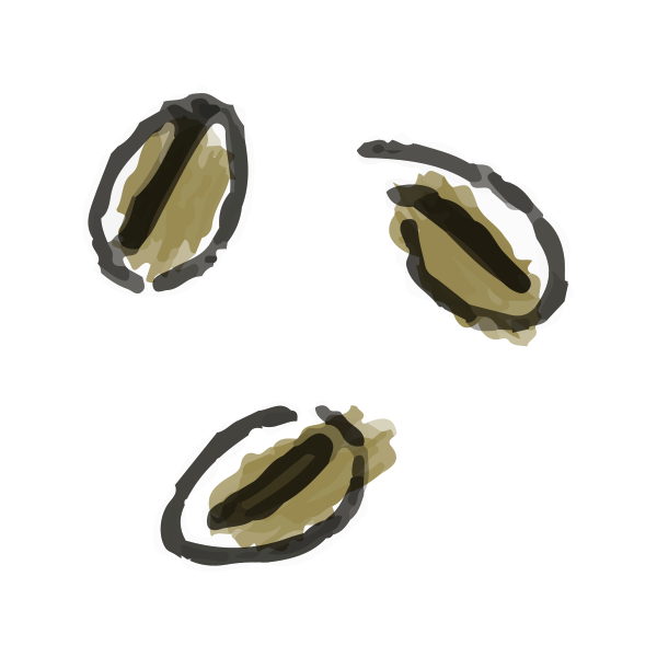 お金のこと